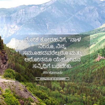 Picture 05 - ಅರಣ್ಯಕಾಂಡ 16:16 KANIRV - ಮೋಶೆ ಕೋರಹನಿಗೆ, - Bible Verse Picture