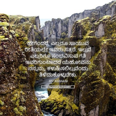 Picture 05 - ಅರಣ್ಯಕಾಂಡ 16:29 KANIRV - ಹೇಗೆಂದರೆ, ಎಲ್ಲರೂ - Bible Verse Picture