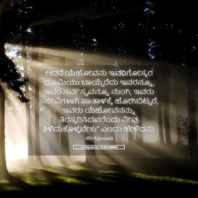 Picture 05 - ಅರಣ್ಯಕಾಂಡ 16:30 KANIRV - ಆದರೆ ಯೆಹೋವನು - Bible Verse Picture