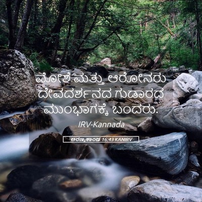 Picture 05 - ಅರಣ್ಯಕಾಂಡ 16:43 KANIRV - ಮೋಶೆ ಮತ್ತು ಆರೋನರು - Bible Verse Picture