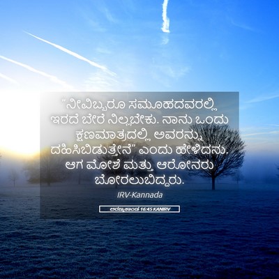Picture 05 - ಅರಣ್ಯಕಾಂಡ 16:45 KANIRV - “ನೀವಿಬ್ಬರೂ - Bible Verse Picture
