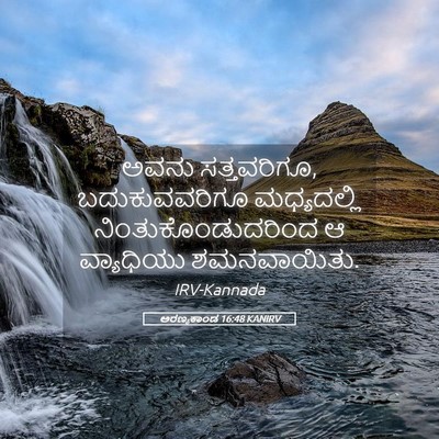 Picture 05 - ಅರಣ್ಯಕಾಂಡ 16:48 KANIRV - ಅವನು ಸತ್ತವರಿಗೂ, - Bible Verse Picture