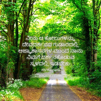 Picture 05 - ಅರಣ್ಯಕಾಂಡ 17:4 KANIRV - ನೀನು ಆ ಕೋಲುಗಳನ್ನು - Bible Verse Picture