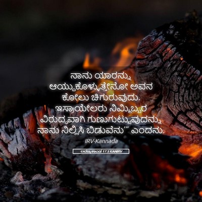 Picture 05 - ಅರಣ್ಯಕಾಂಡ 17:5 KANIRV - ನಾನು ಯಾರನ್ನು - Bible Verse Picture