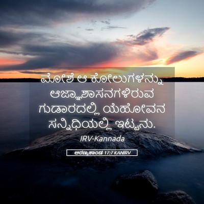 Picture 05 - ಅರಣ್ಯಕಾಂಡ 17:7 KANIRV - ಮೋಶೆ ಆ ಕೋಲುಗಳನ್ನು - Bible Verse Picture
