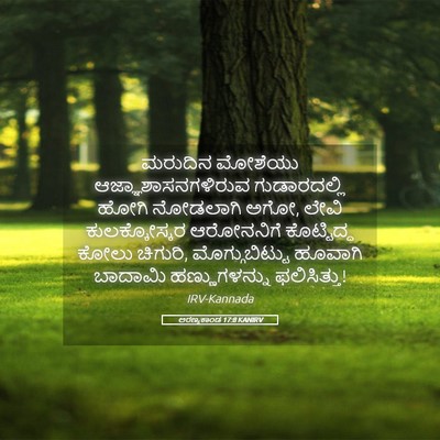 Picture 05 - ಅರಣ್ಯಕಾಂಡ 17:8 KANIRV - ಮರುದಿನ ಮೋಶೆಯು - Bible Verse Picture