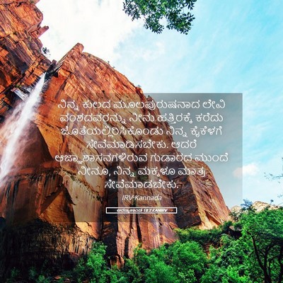 Picture 05 - ಅರಣ್ಯಕಾಂಡ 18:2 KANIRV - ನಿನ್ನ ಕುಲದ - Bible Verse Picture