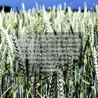 Picture 05 - ಅರಣ್ಯಕಾಂಡ 18:9 KANIRV - ಬೆಂಕಿಯಲ್ಲಿ - Bible Verse Picture