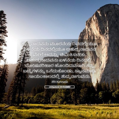 Picture 05 - ಅರಣ್ಯಕಾಂಡ 19:19 KANIRV - ಶುದ್ಧನಾದವನು - Bible Verse Picture