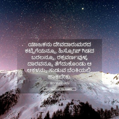 Picture 05 - ಅರಣ್ಯಕಾಂಡ 19:6 KANIRV - ಯಾಜಕನು ದೇವದಾರುಮರದ - Bible Verse Picture