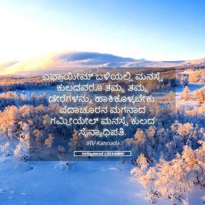 Picture 05 - ಅರಣ್ಯಕಾಂಡ 2:20 KANIRV - ಎಫ್ರಾಯೀಮ್ - Bible Verse Picture