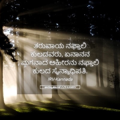 Picture 05 - ಅರಣ್ಯಕಾಂಡ 2:29 KANIRV - ತರುವಾಯ ನಫ್ತಾಲಿ - Bible Verse Picture