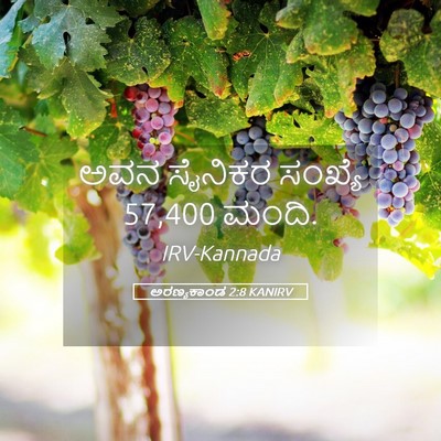 Picture 05 - ಅರಣ್ಯಕಾಂಡ 2:8 KANIRV - ಅವನ ಸೈನಿಕರ ಸಂಖ್ಯೆ - Bible Verse Picture
