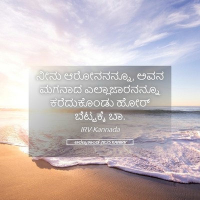 Picture 05 - ಅರಣ್ಯಕಾಂಡ 20:25 KANIRV - ನೀನು ಆರೋನನನ್ನೂ, - Bible Verse Picture
