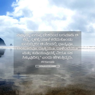 Picture 05 - ಅರಣ್ಯಕಾಂಡ 20:5 KANIRV - ನಮ್ಮನ್ನು ಐಗುಪ್ತ - Bible Verse Picture