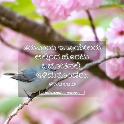 Picture 05 - ಅರಣ್ಯಕಾಂಡ 21:10 KANIRV - ತರುವಾಯ ಇಸ್ರಾಯೇಲರು - Bible Verse Picture