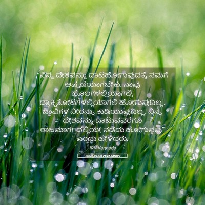 Picture 05 - ಅರಣ್ಯಕಾಂಡ 21:22 KANIRV - “ನಿನ್ನ ದೇಶವನ್ನು - Bible Verse Picture