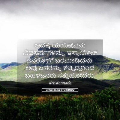 Picture 05 - ಅರಣ್ಯಕಾಂಡ 21:6 KANIRV - ಅದಕ್ಕೆ ಯೆಹೋವನು - Bible Verse Picture