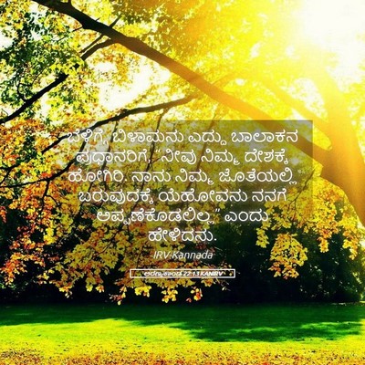 Picture 05 - ಅರಣ್ಯಕಾಂಡ 22:13 KANIRV - ಬೆಳಿಗ್ಗೆ ಬಿಳಾಮನು - Bible Verse Picture