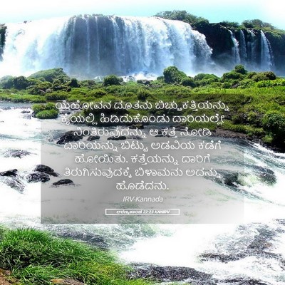 Picture 05 - ಅರಣ್ಯಕಾಂಡ 22:23 KANIRV - ಯೆಹೋವನ ದೂತನು - Bible Verse Picture