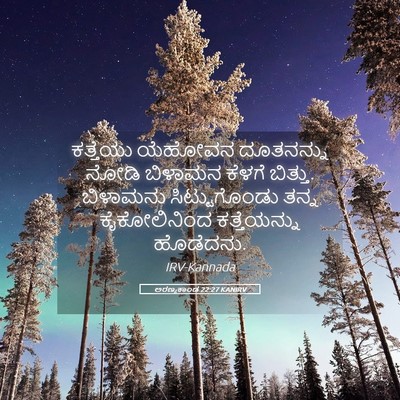 Picture 05 - ಅರಣ್ಯಕಾಂಡ 22:27 KANIRV - ಕತ್ತೆಯು ಯೆಹೋವನ - Bible Verse Picture