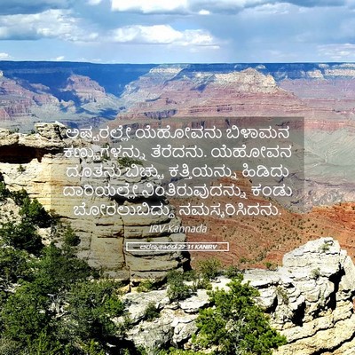 Picture 05 - ಅರಣ್ಯಕಾಂಡ 22:31 KANIRV - ಅಷ್ಟರಲ್ಲೇ ಯೆಹೋವನು - Bible Verse Picture