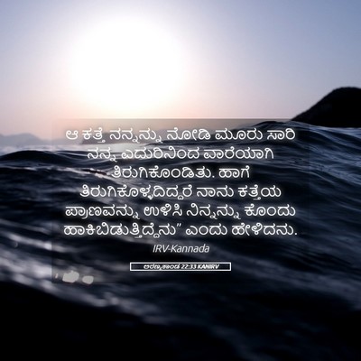 Picture 05 - ಅರಣ್ಯಕಾಂಡ 22:33 KANIRV - ಆ ಕತ್ತೆ ನನ್ನನ್ನು - Bible Verse Picture