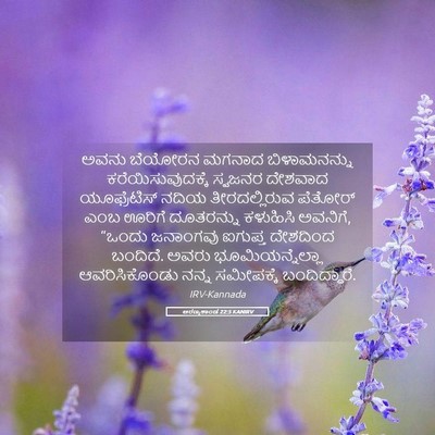 Picture 05 - ಅರಣ್ಯಕಾಂಡ 22:5 KANIRV - ಅವನು ಬೆಯೋರನ ಮಗನಾದ - Bible Verse Picture