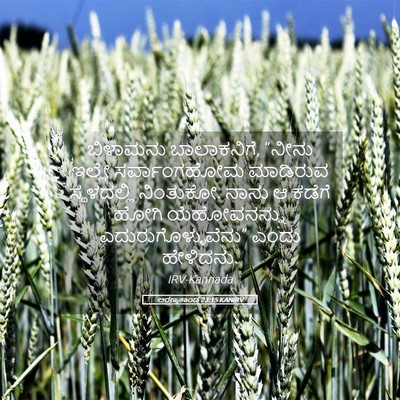 Picture 05 - ಅರಣ್ಯಕಾಂಡ 23:15 KANIRV - ಬಿಳಾಮನು - Bible Verse Picture