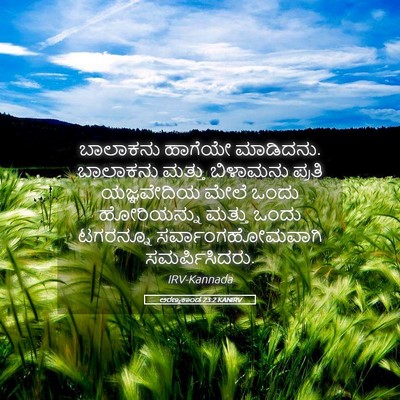 Picture 05 - ಅರಣ್ಯಕಾಂಡ 23:2 KANIRV - ಬಾಲಾಕನು ಹಾಗೆಯೇ - Bible Verse Picture