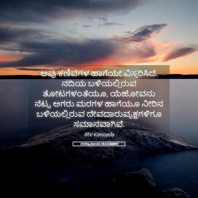 Picture 05 - ಅರಣ್ಯಕಾಂಡ 24:6 KANIRV - ಅವು ಕಣಿವೆಗಳ - Bible Verse Picture