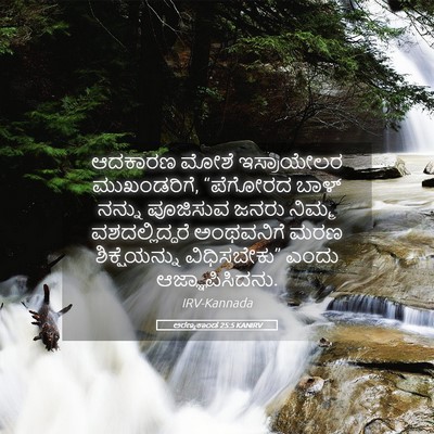 Picture 05 - ಅರಣ್ಯಕಾಂಡ 25:5 KANIRV - ಆದಕಾರಣ ಮೋಶೆ - Bible Verse Picture