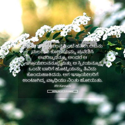 Picture 05 - ಅರಣ್ಯಕಾಂಡ 25:8 KANIRV - ಅವನು ಇಸ್ರಾಯೇಲನ - Bible Verse Picture