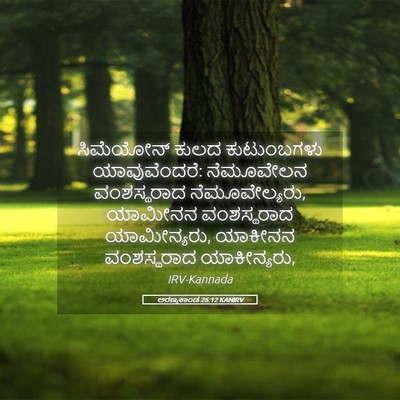 Picture 05 - ಅರಣ್ಯಕಾಂಡ 26:12 KANIRV - ಸಿಮೆಯೋನ್ ಕುಲದ - Bible Verse Picture