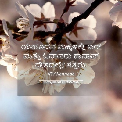 Picture 05 - ಅರಣ್ಯಕಾಂಡ 26:19 KANIRV - ಯೆಹೂದನ ಮಕ್ಕಳಲ್ಲಿ - Bible Verse Picture