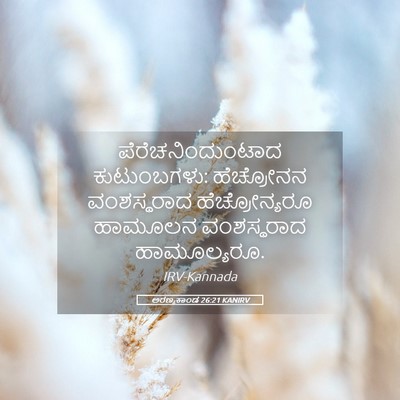 Picture 05 - ಅರಣ್ಯಕಾಂಡ 26:21 KANIRV - ಪೆರೆಚನಿಂದುಂಟಾದ - Bible Verse Picture