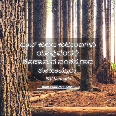 Picture 05 - ಅರಣ್ಯಕಾಂಡ 26:42 KANIRV - ದಾನ್ ಕುಲದ - Bible Verse Picture