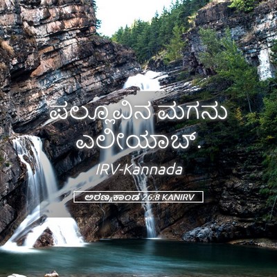Picture 05 - ಅರಣ್ಯಕಾಂಡ 26:8 KANIRV - ಪಲ್ಲೂವಿನ ಮಗನು - Bible Verse Picture