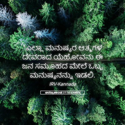 Picture 05 - ಅರಣ್ಯಕಾಂಡ 27:16 KANIRV - “ಎಲ್ಲಾ ಮನುಷ್ಯರ - Bible Verse Picture