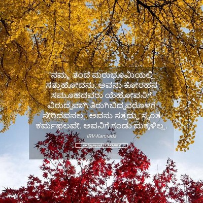 Picture 05 - ಅರಣ್ಯಕಾಂಡ 27:3 KANIRV - “ನಮ್ಮ ತಂದೆ - Bible Verse Picture
