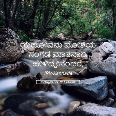 Picture 05 - ಅರಣ್ಯಕಾಂಡ 28:1 KANIRV - ಯೆಹೋವನು ಮೋಶೆಯ - Bible Verse Picture