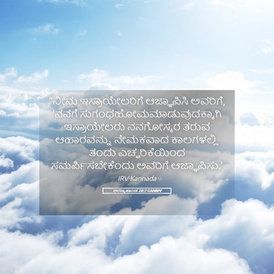 Picture 05 - ಅರಣ್ಯಕಾಂಡ 28:2 KANIRV - “ನೀನು - Bible Verse Picture