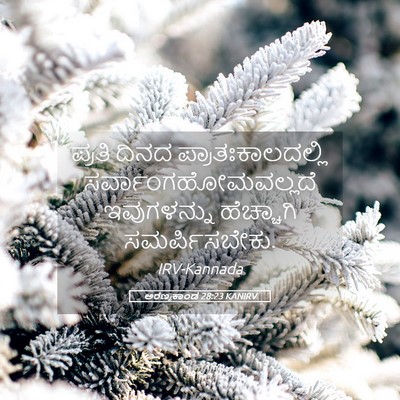 Picture 05 - ಅರಣ್ಯಕಾಂಡ 28:23 KANIRV - ಪ್ರತಿ ದಿನದ - Bible Verse Picture