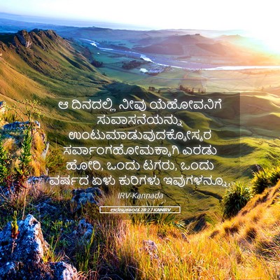 Picture 05 - ಅರಣ್ಯಕಾಂಡ 28:27 KANIRV - ಆ ದಿನದಲ್ಲಿ ನೀವು - Bible Verse Picture