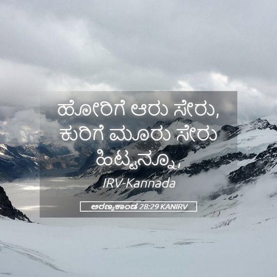 Picture 05 - ಅರಣ್ಯಕಾಂಡ 28:29 KANIRV - ಹೋರಿಗೆ ಆರು ಸೇರು, - Bible Verse Picture