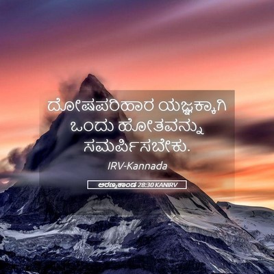 Picture 05 - ಅರಣ್ಯಕಾಂಡ 28:30 KANIRV - ದೋಷಪರಿಹಾರ - Bible Verse Picture