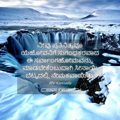 Picture 05 - ಅರಣ್ಯಕಾಂಡ 28:6 KANIRV - ನೀವು ಪ್ರತಿನಿತ್ಯವೂ - Bible Verse Picture