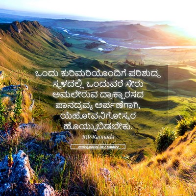 Picture 05 - ಅರಣ್ಯಕಾಂಡ 28:7 KANIRV - ಒಂದು - Bible Verse Picture
