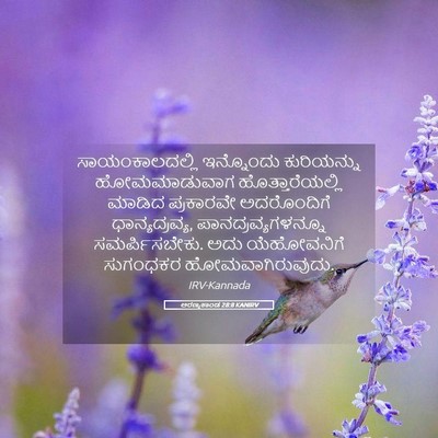 Picture 05 - ಅರಣ್ಯಕಾಂಡ 28:8 KANIRV - ಸಾಯಂಕಾಲದಲ್ಲಿ - Bible Verse Picture