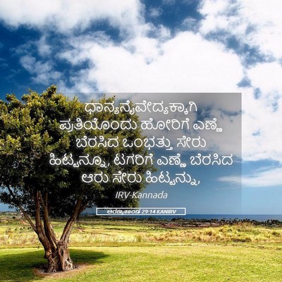 Picture 05 - ಅರಣ್ಯಕಾಂಡ 29:14 KANIRV -  - Bible Verse Picture